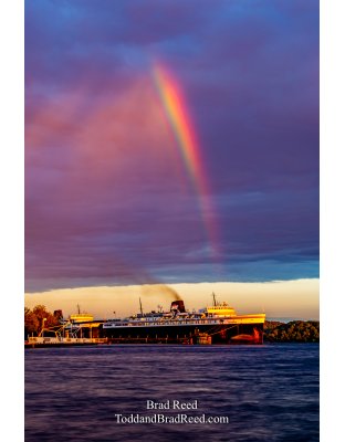 Brad Reed's Day 176 of 366 - June 24, 2020