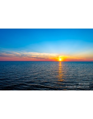 Brad Reed's Day 183 of 366 - July 1, 2020