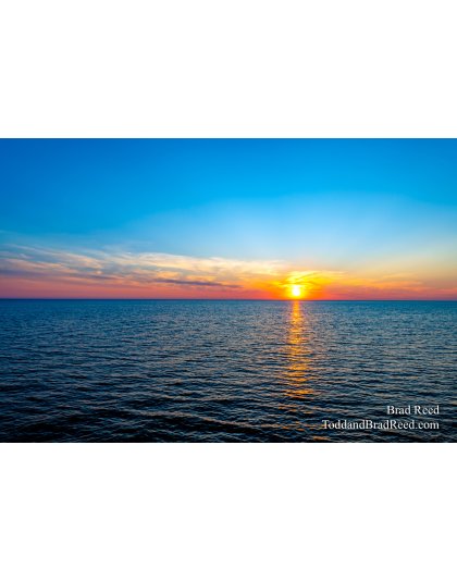 Brad Reed's Day 183 of 366 - July 1, 2020