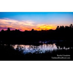 Rachel Gaudette\'s Day 183 of 366 - July 1, 2020