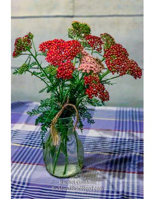 Rachel Gaudette's Day 184 of 366 - July 2, 2020