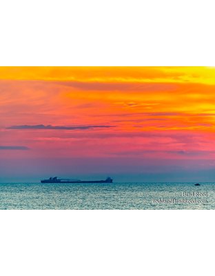 Brad Reed's Day 185 of 366 - July 3, 2020