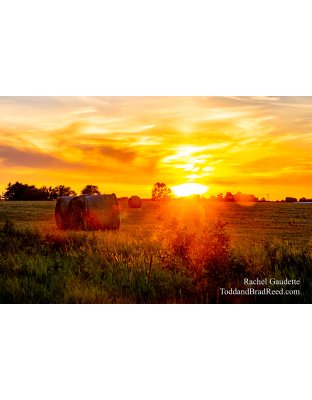 Rachel Gaudette's Day 185 of 366 - July 3, 2020