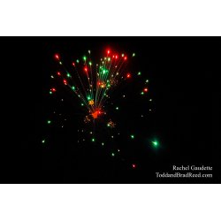 Rachel Gaudette\'s Day 186 of 366 - July 4, 2020
