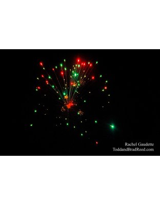 Rachel Gaudette's Day 186 of 366 - July 4, 2020