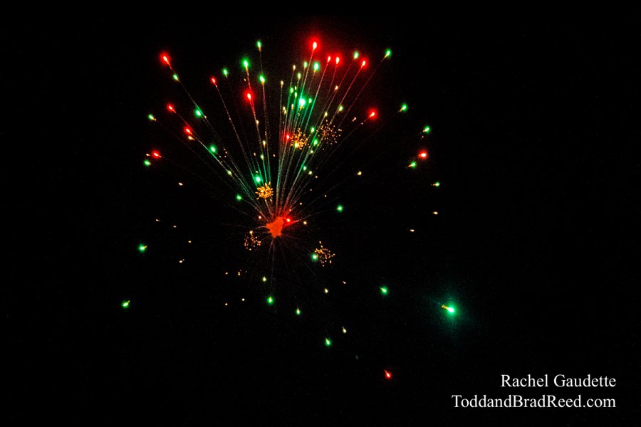 Rachel Gaudette's Day 186 of 366 - July 4, 2020