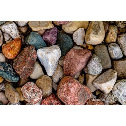 Brad Reed\'s Day 191 of 366 - July 9, 2020