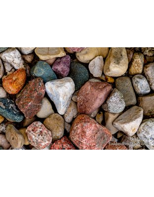 Brad Reed's Day 191 of 366 - July 9, 2020