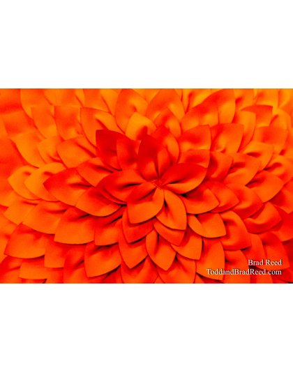 Brad Reed's Day 192 of 366 - July 10, 2020