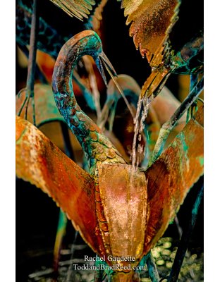 Rachel Gaudette's Day 192 of 366 - July 10, 2020