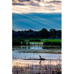 Brad Reed\'s Day 198 of 366 - July 16, 2020