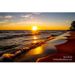 Brad Reed\'s Day 201 of 366 - July 19, 2020