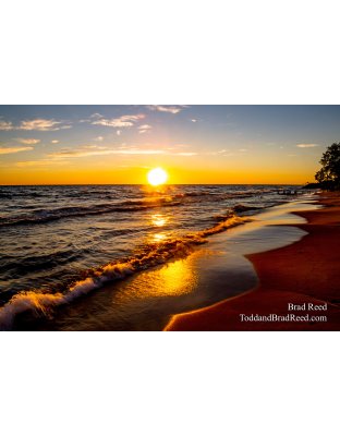 Brad Reed's Day 201 of 366 - July 19, 2020