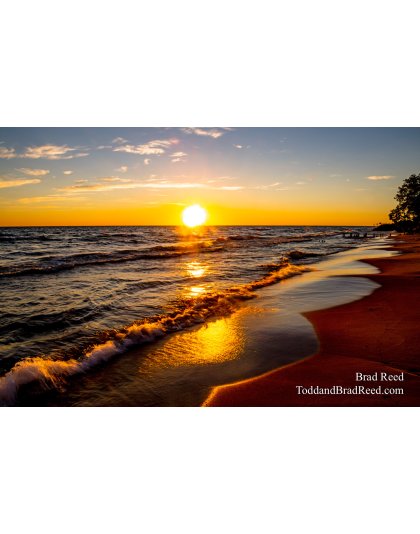 Brad Reed's Day 201 of 366 - July 19, 2020