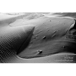 Whispering Sands