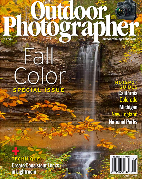 Todd and Brad Reed Blog Article